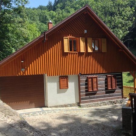Chata Hokejka Rokytnice nad Jizerou Zewnętrze zdjęcie